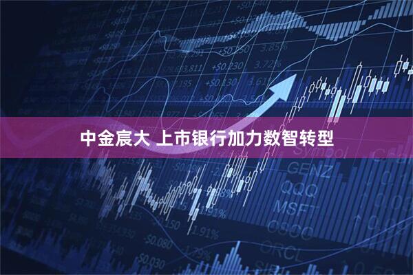中金宸大 上市银行加力数智转型