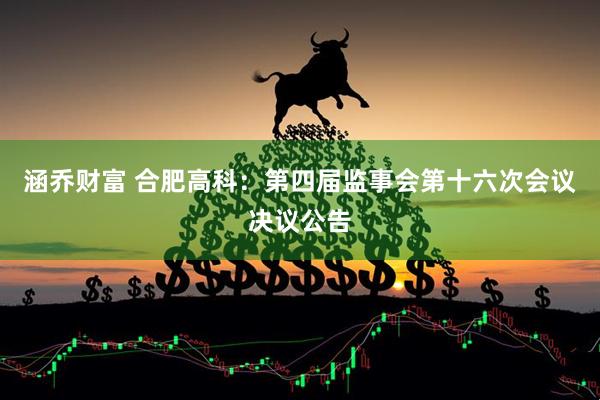 涵乔财富 合肥高科：第四届监事会第十六次会议决议公告