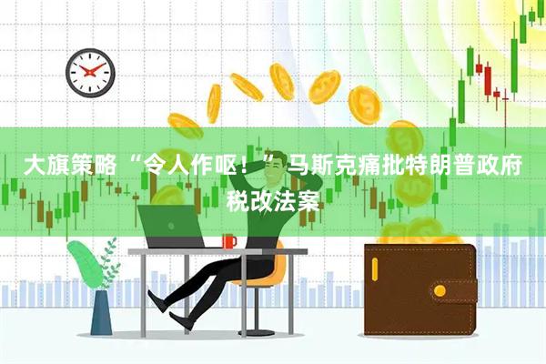 大旗策略 “令人作呕！” 马斯克痛批特朗普政府税改法案