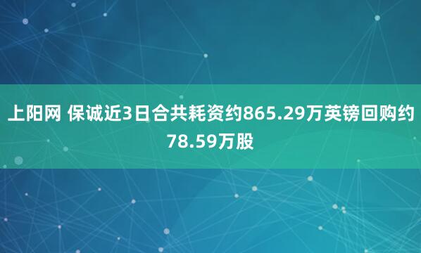 上阳网 保诚近3日合共耗资约865.29万英镑回购约78.59万股