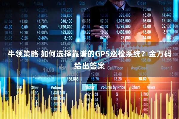 牛领策略 如何选择靠谱的GPS巡检系统？金万码给出答案
