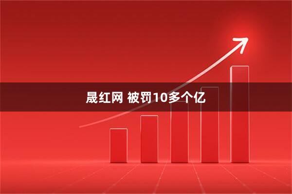 晟红网 被罚10多个亿